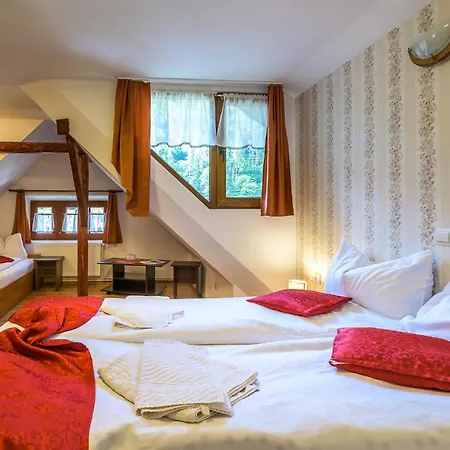 Pensiunea Casa Loloiu Guest house