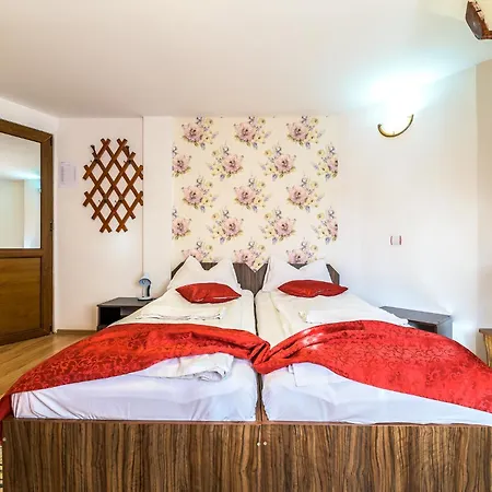 Guest house Pensiunea Casa Loloiu *
